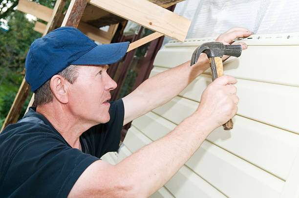 Affordable Siding Repair and Maintenance Services in Larimore, ND