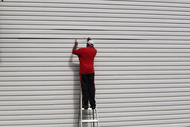 Best Historical Building Siding Restoration  in Larimore, ND